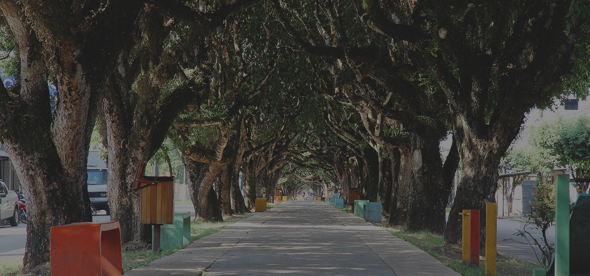 AV. PARQUE